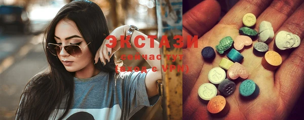 ECSTASY Богородск