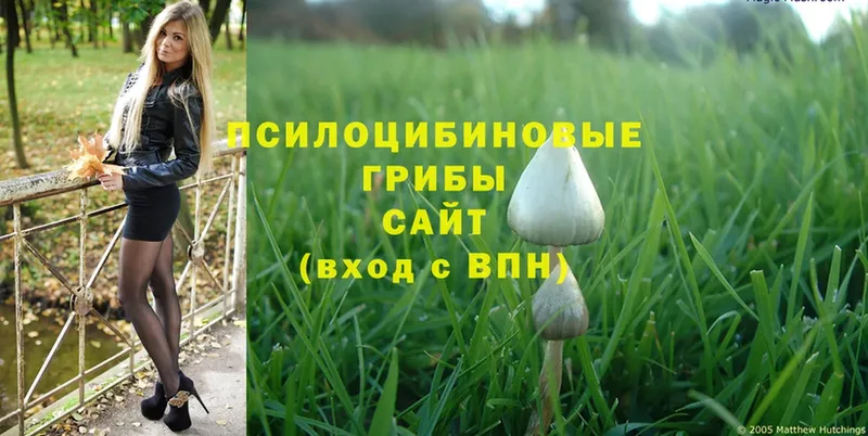 Галлюциногенные грибы MAGIC MUSHROOMS  где продают наркотики  Белая Калитва 